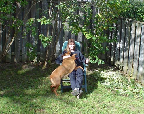 Pet Dog Sandy Rottweiler with Kats